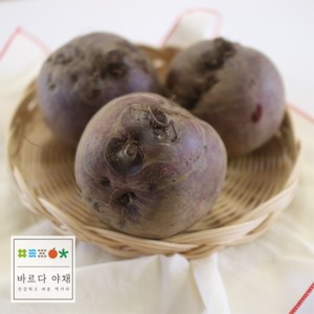 바르다 이미지