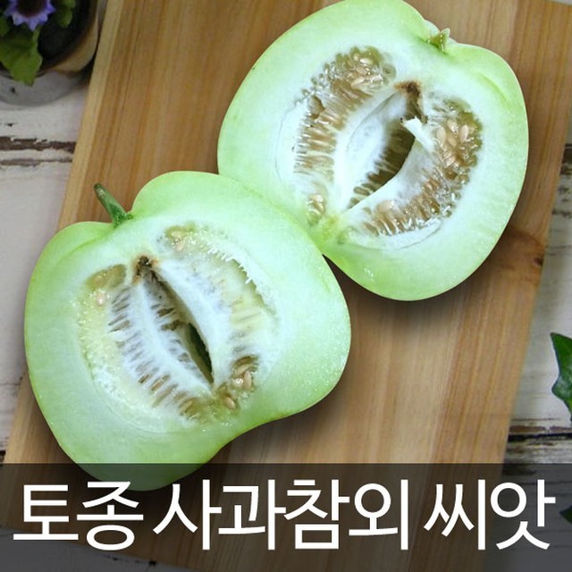 홀씨앗 이미지