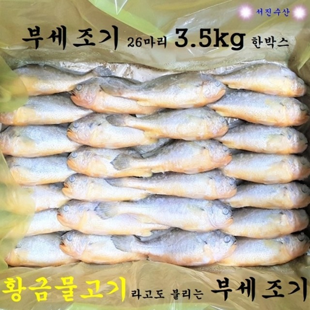 서진수산 이미지