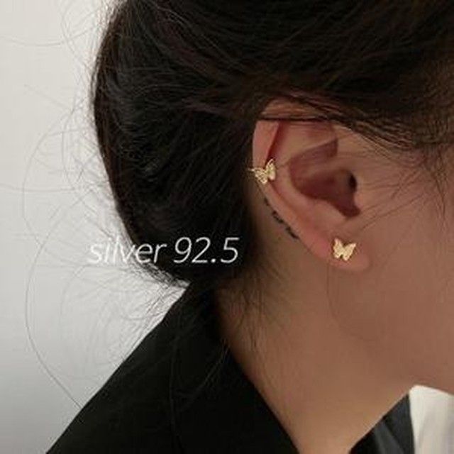 금나비 이미지