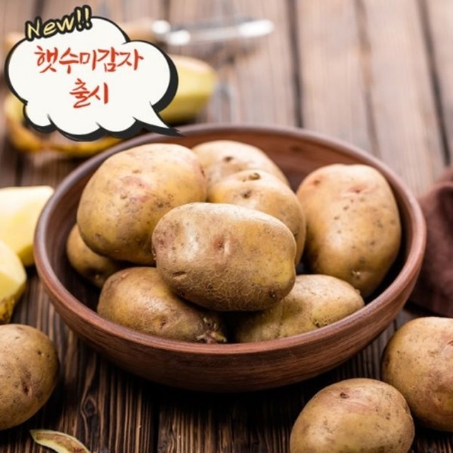 달님이네 이미지