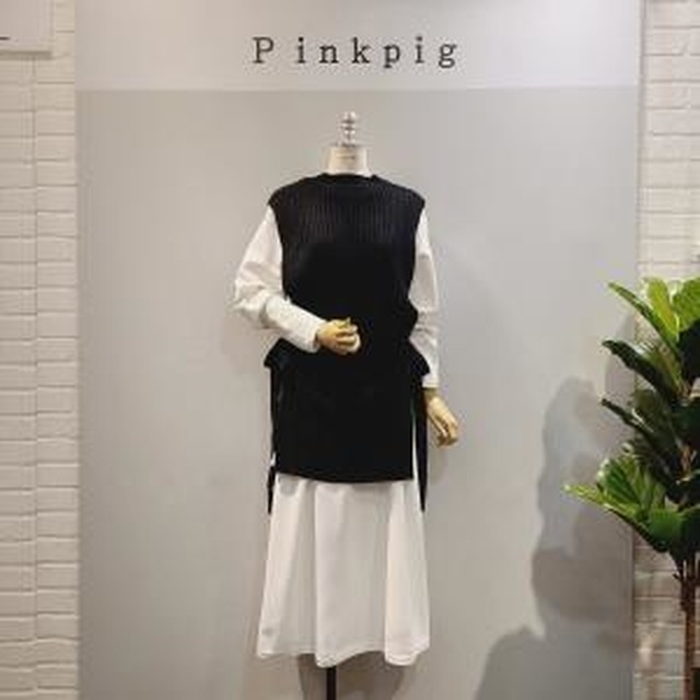 피그니트 이미지