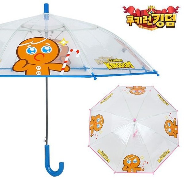 제이에스지 이미지