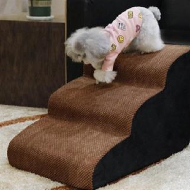 디팡 이미지