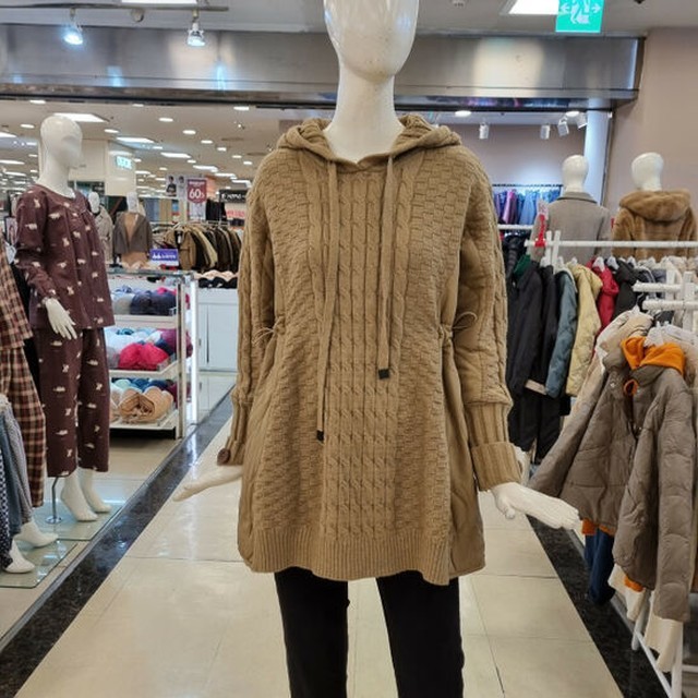 아이니스 이미지