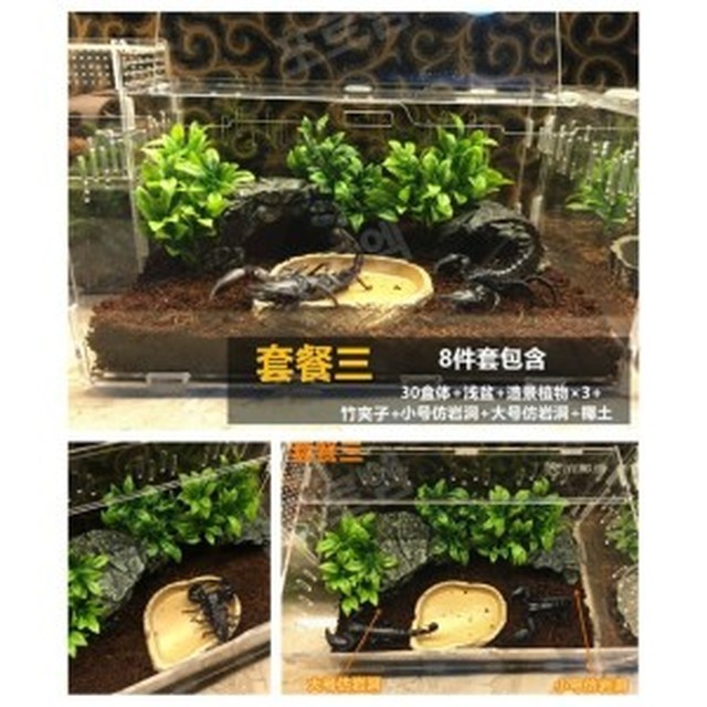 거미아크릴 이미지