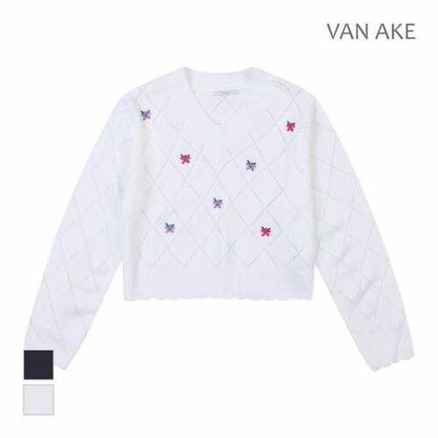 에이크(ake) 이미지
