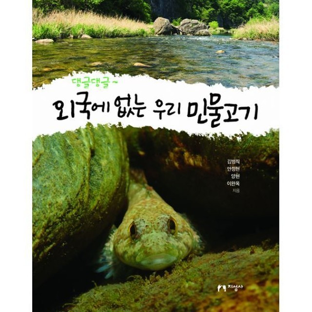 댕글댕글 이미지
