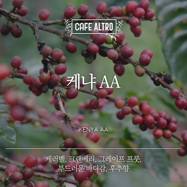 카페케냐 이미지