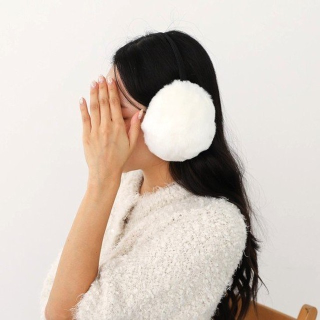 리리퍼 이미지