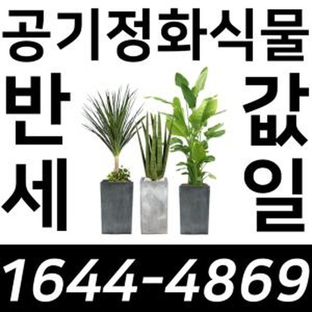 미니벨다육이 이미지