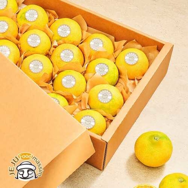 곱다시제주 이미지