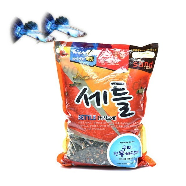 헬로구피 이미지