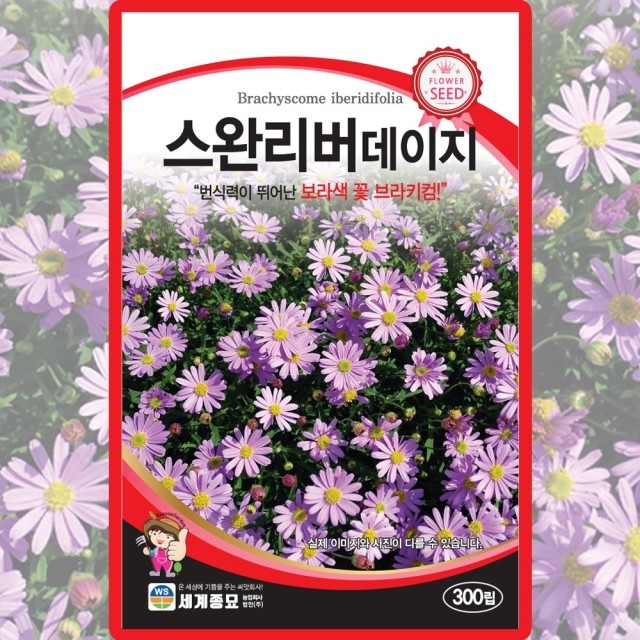 스완리버 이미지