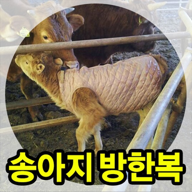 황소축산 이미지
