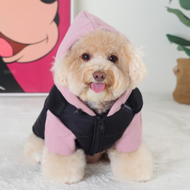 에이미퍼플 이미지