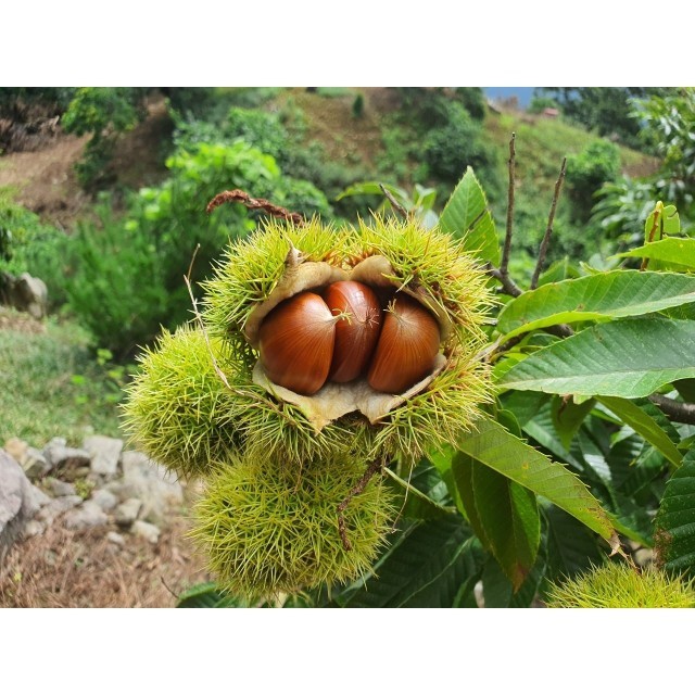 유경농산 이미지