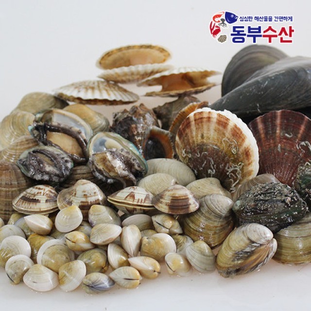 모듬 이미지