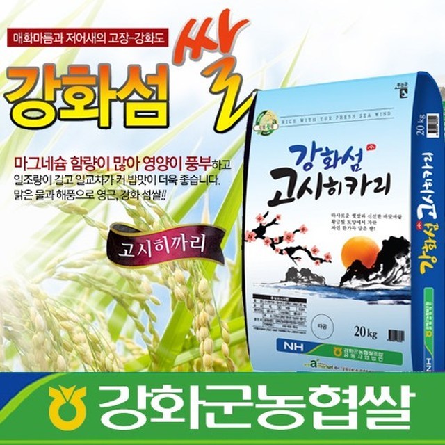 계화농협 이미지