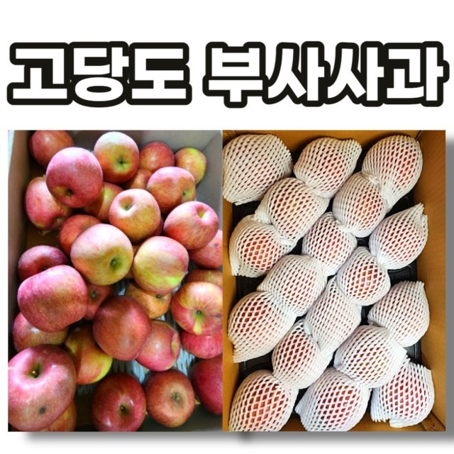 제이피지 이미지