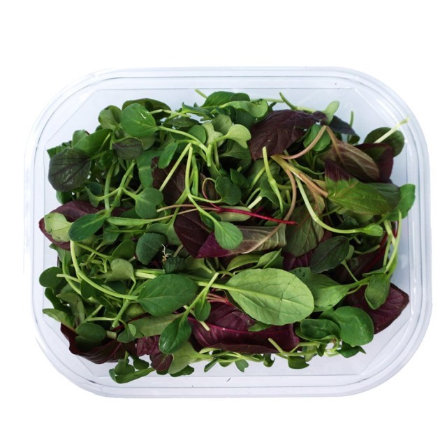 GreenFarm 이미지