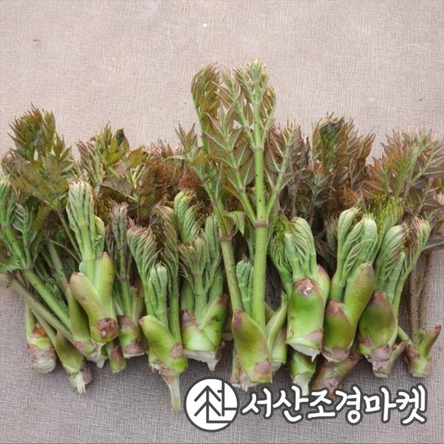 민조경 이미지