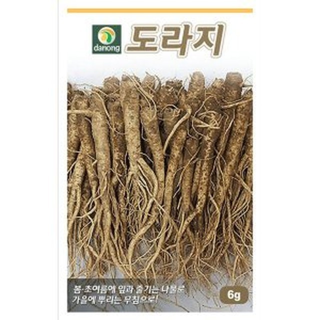 씨앗 이미지