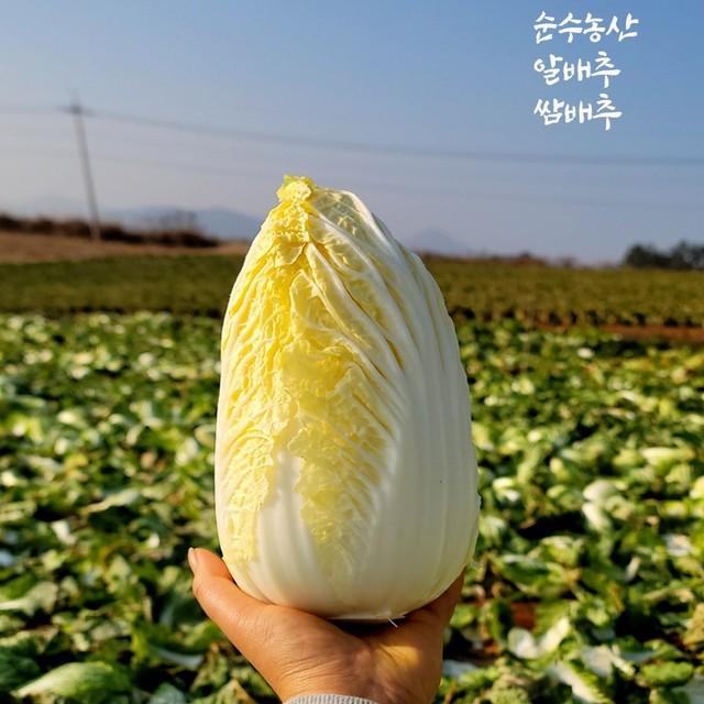순수농산 이미지