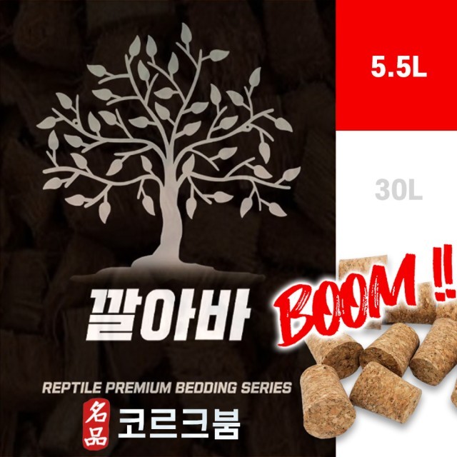 바 바 붐 이미지