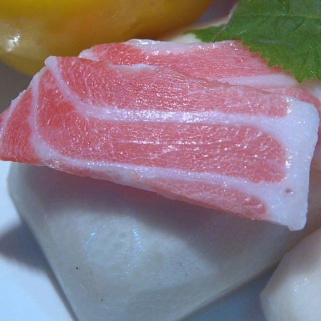 오도로참치 이미지