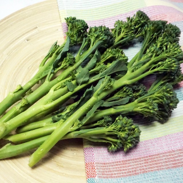 GreenFarm 이미지