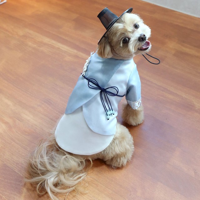 왕자한복 이미지