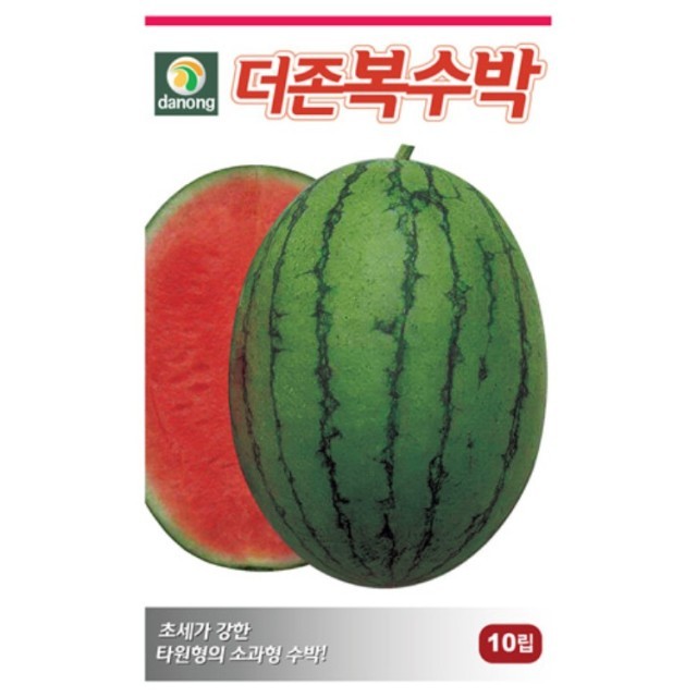 씨앗 이미지