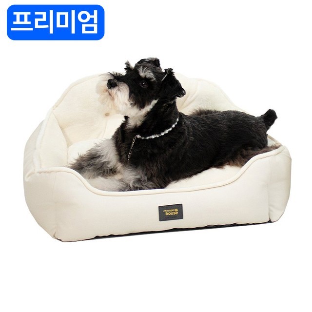 케이크퍼스 이미지
