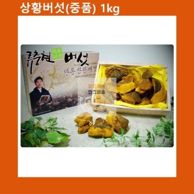 천상기업 이미지