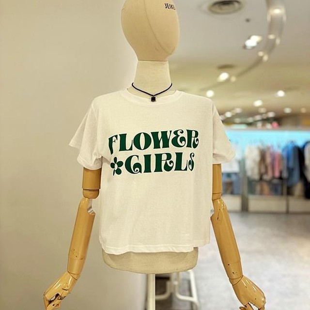 제이제이오 이미지