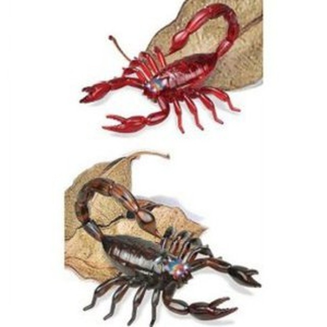 반디 이미지