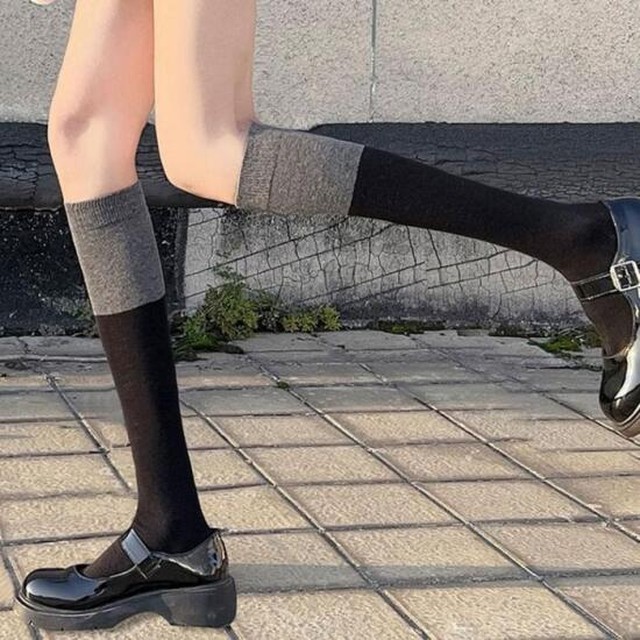 니랑 이미지