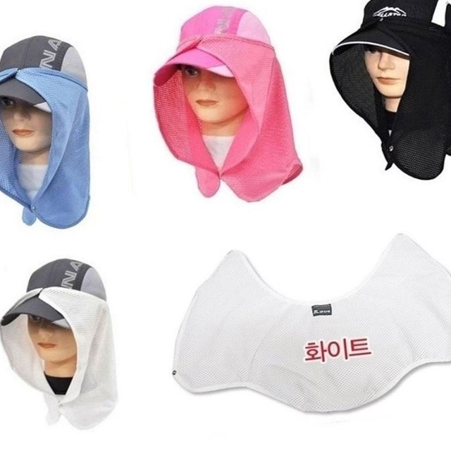 백장미 이미지