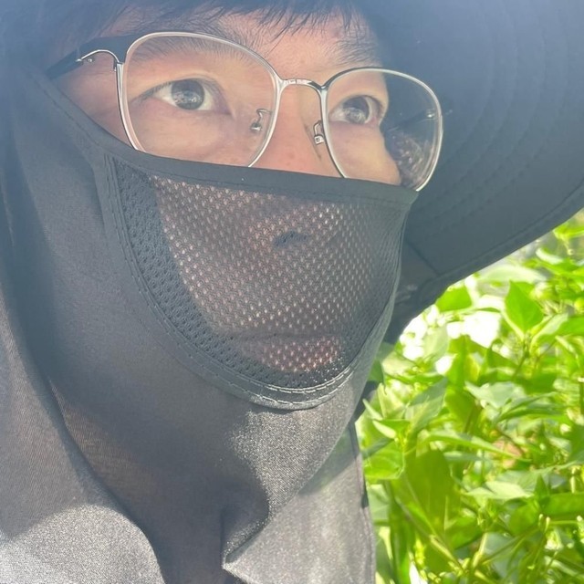 가리개&창 이미지