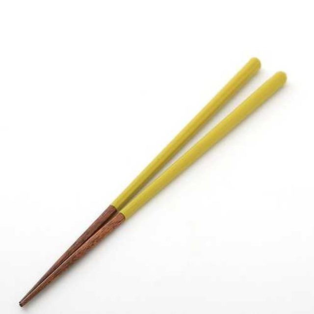 젠한국 이미지
