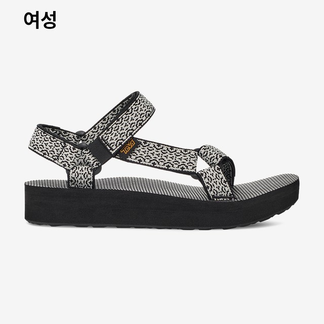 테바 이미지