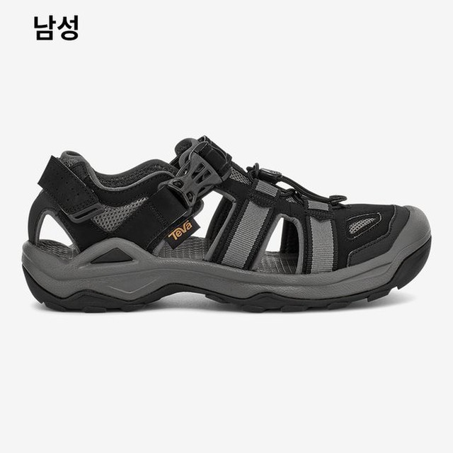 테바 이미지