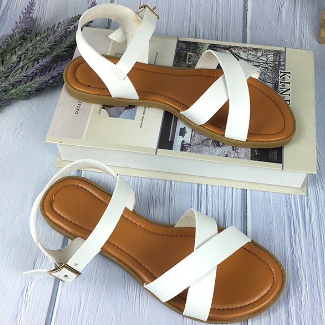 디자인카리스 이미지