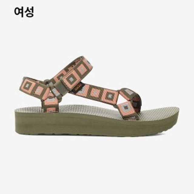 테바 이미지