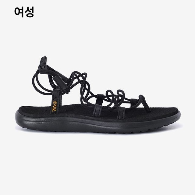 테바 이미지