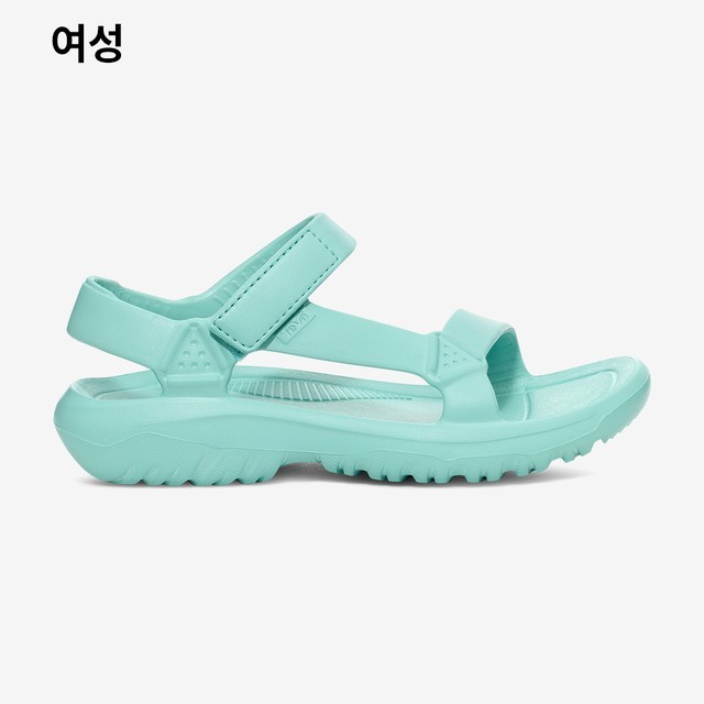테바 이미지