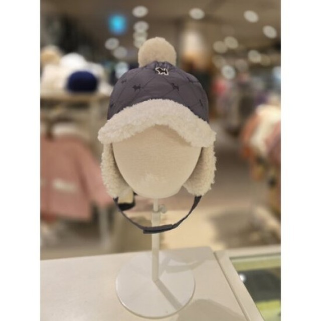 블루독베이비현대 이미지