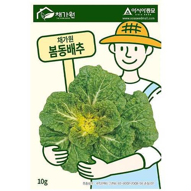 씨앗 이미지