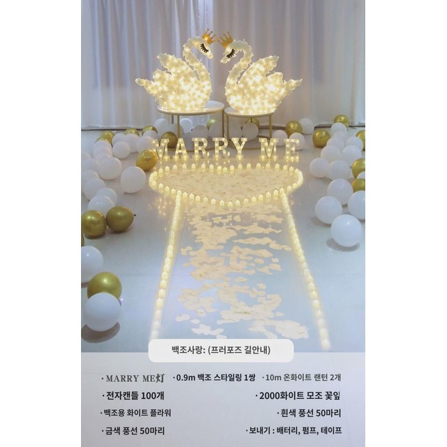 백조사 이미지